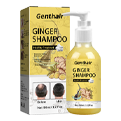 Ginger Hair Shampoo